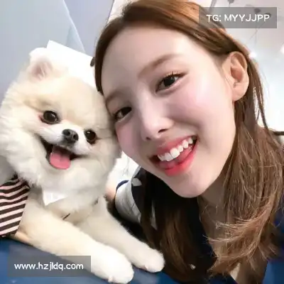 韦保易