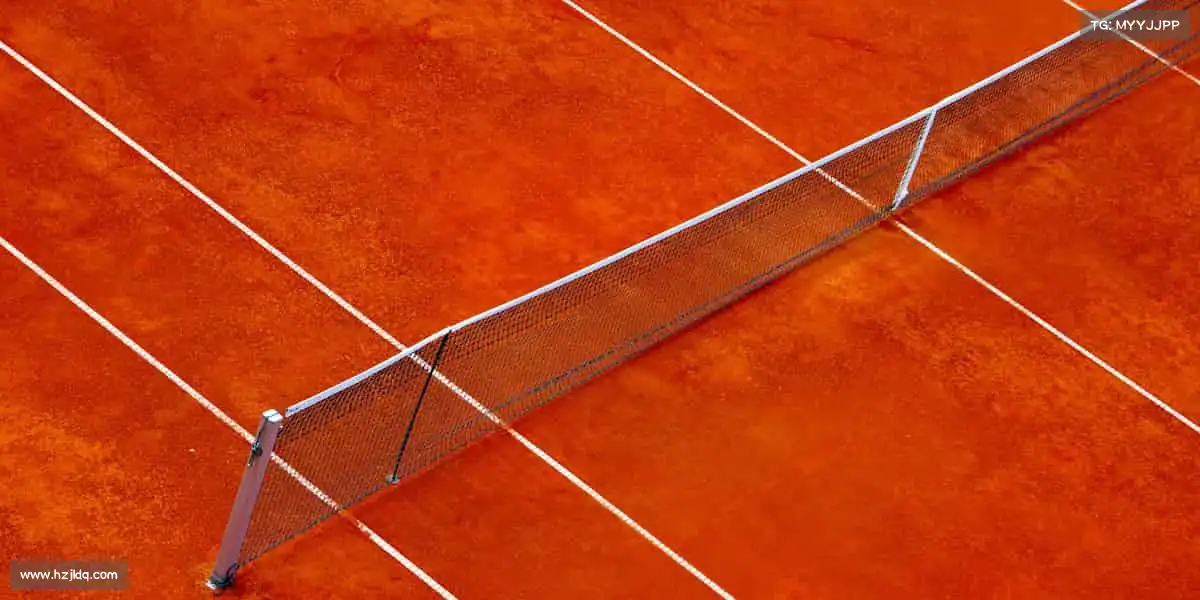 为什么选择我们